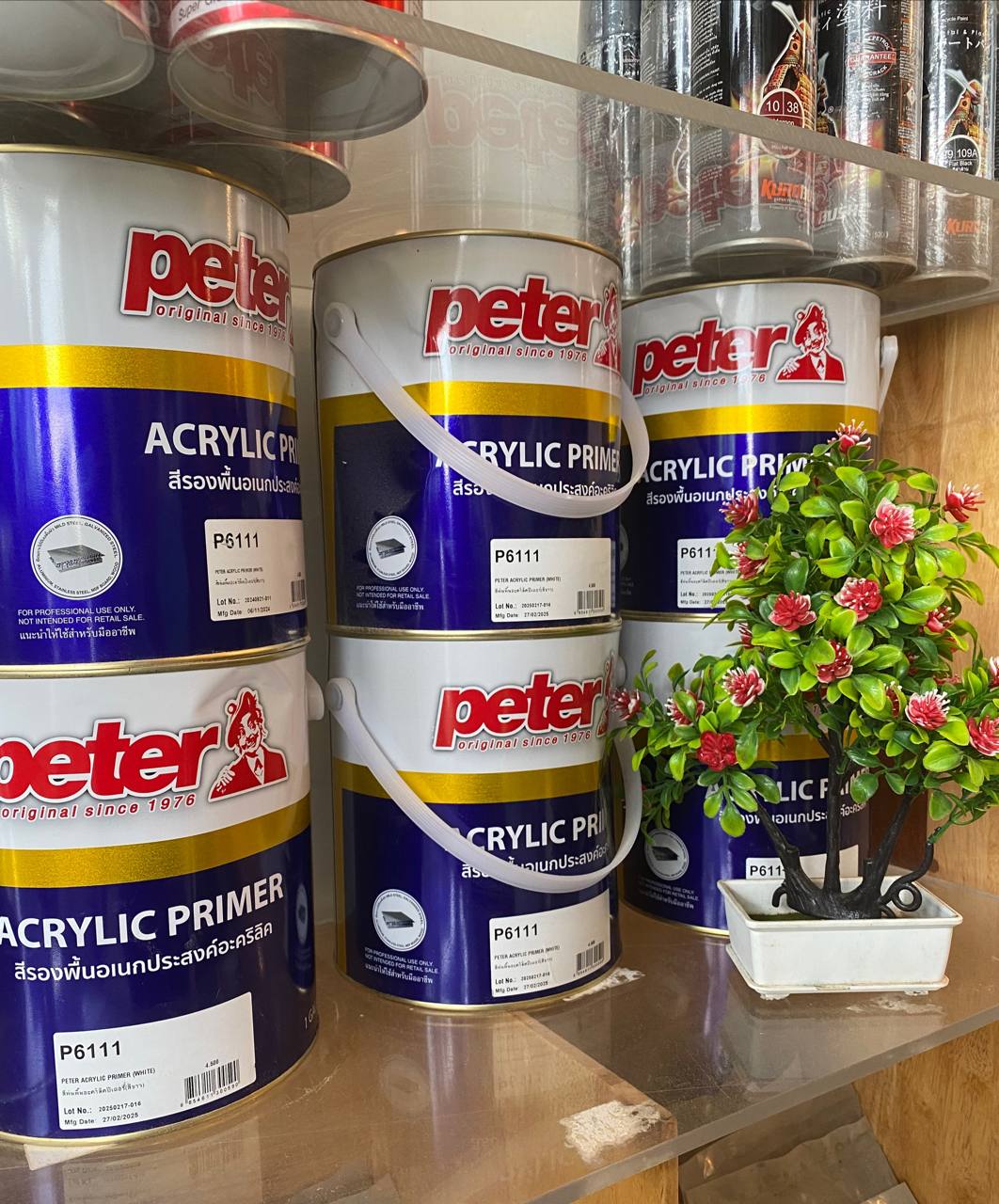 PETER P-6111 4KG/ថ្នាំទ្រនាប់សរ